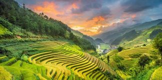 Khám phá list 27 địa điểm du lịch Lai Châu đẹp nổi tiếng hàng đầu
