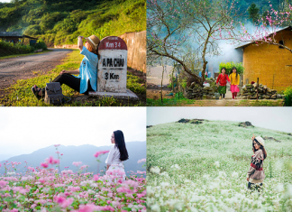 Du lịch Miền Bắc tết ấn tượng sâu sắc