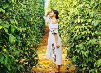 Khám phá Top 5 trang trại tiêu Phú Quốc đẹp và nổi tiếng nhất Check-in tại trang trại tiêu Phú Quốc